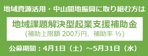 地域課題解決型起業支援補助金